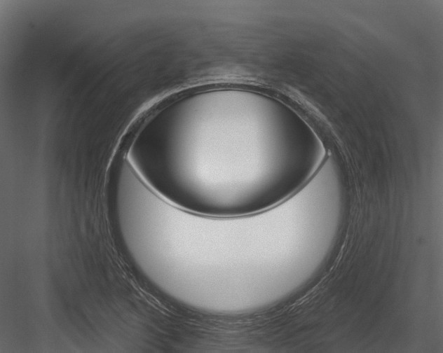 X0000084561222200702230953