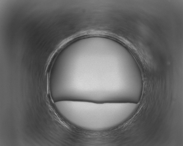 X0000084561223200702230953