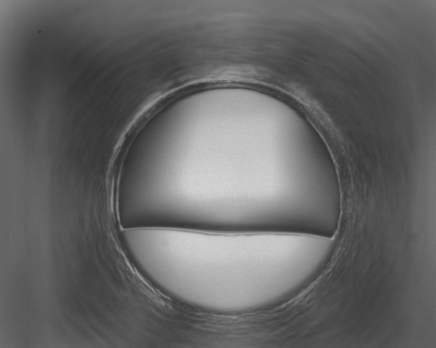 X0000084561224200702230953