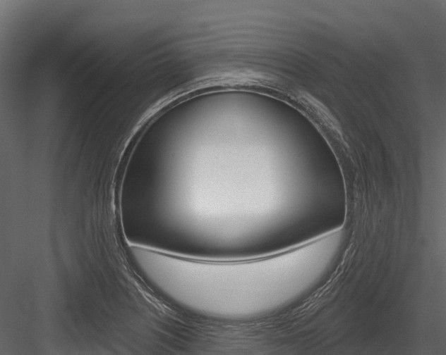 X0000084561226200702230953