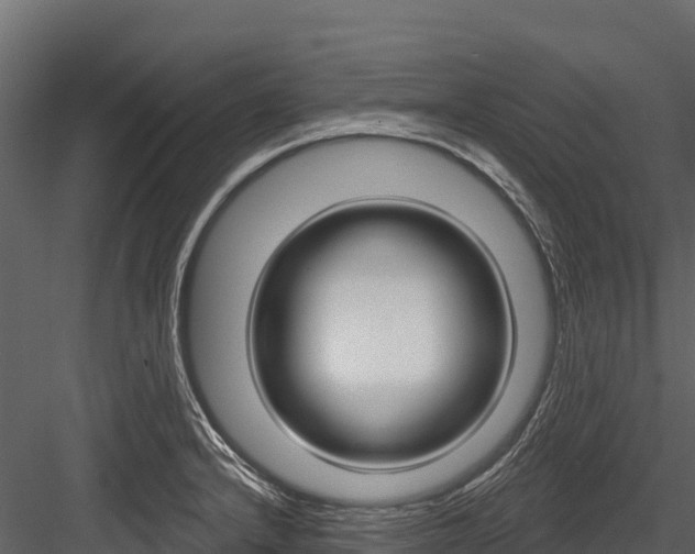 X0000084561232200702230953