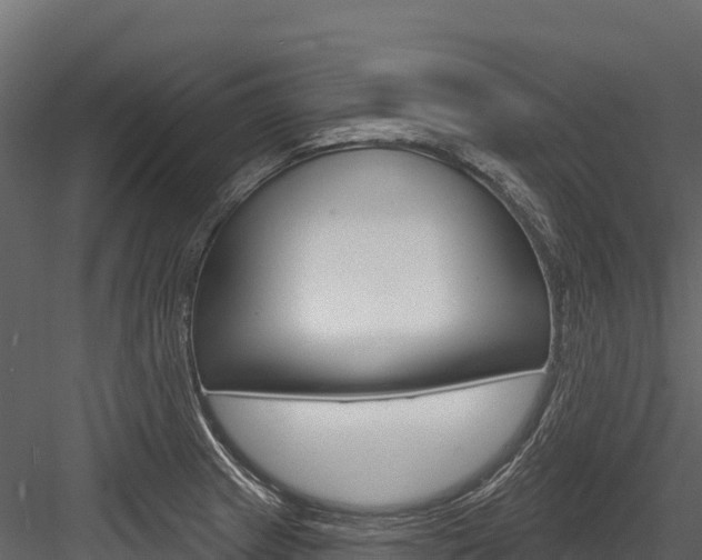 X0000084561233200702230953