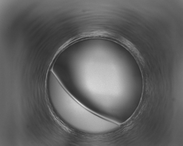 X0000084561234200702230953