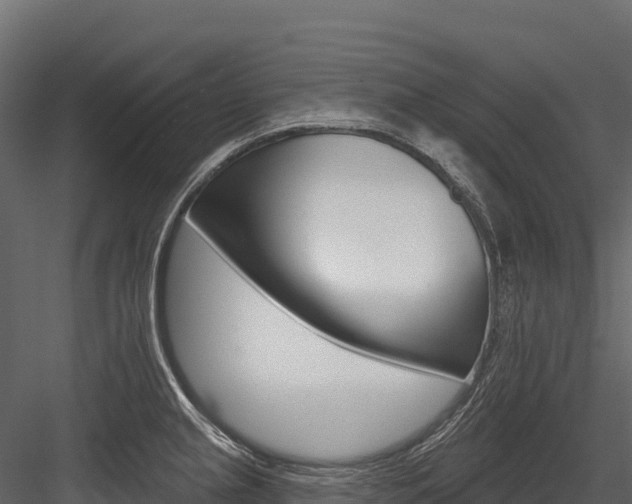 X0000084561237200702230953