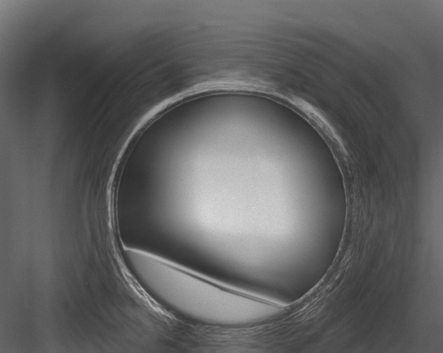 X0000084561238200702230953