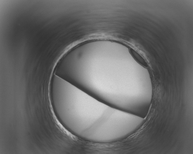 X0000084561239200702230953