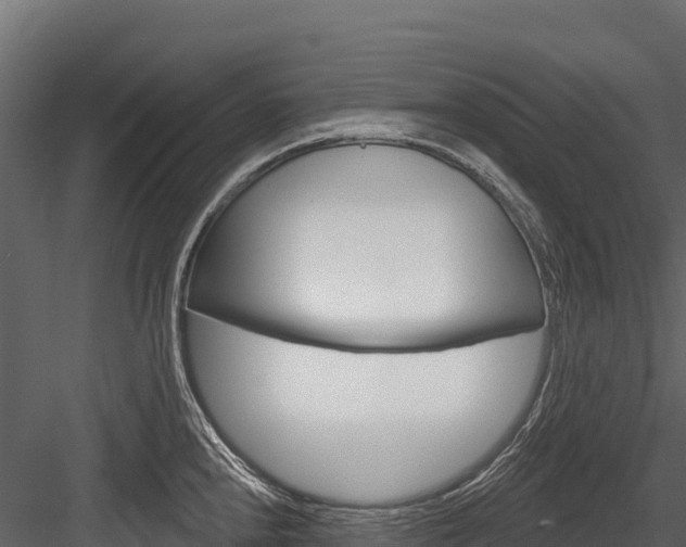 X0000084561240200702230953