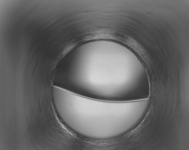 X0000084561241200702230953