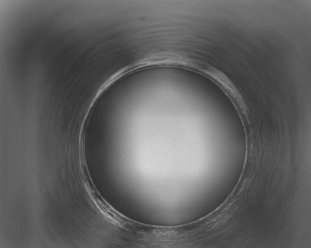 X0000084561242200702230953