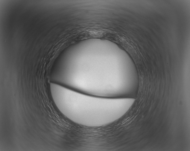 X0000084561249200702230952