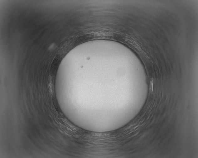 X0000084561251200702230952