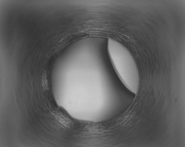 X0000084561252200702230952
