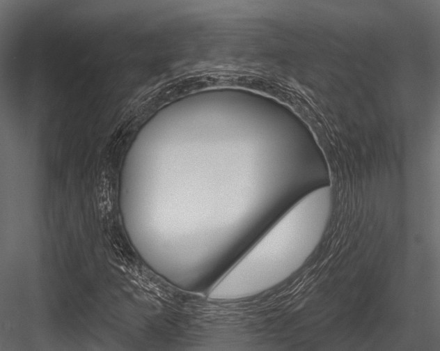 X0000084561253200702230952