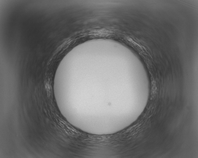 X0000084561254200702230952