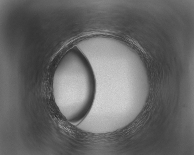 X0000084561256200702230952