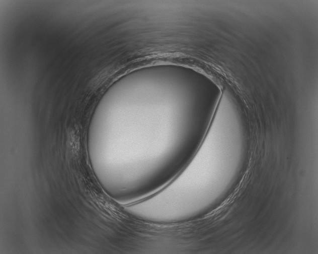 X0000084561257200702230952