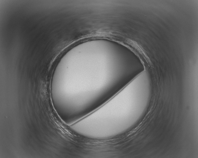 X0000084561260200702230952
