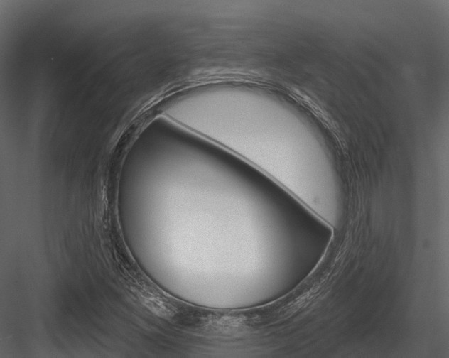 X0000084561261200702230952
