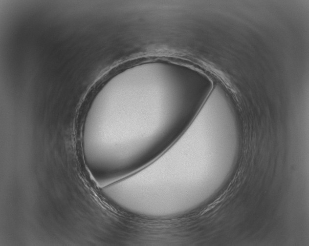 X0000084561264200702230952