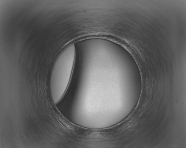 X0000084561265200702230952