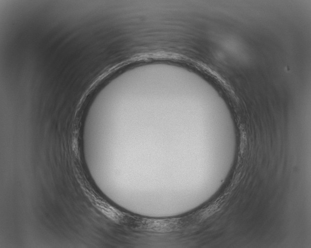 X0000084561266200702230952