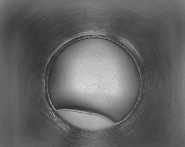 X0000084561268200702230952