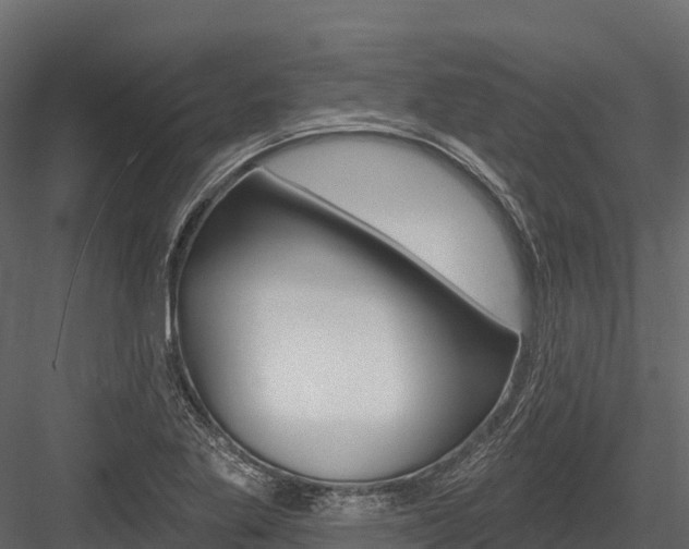 X0000084561269200702230952