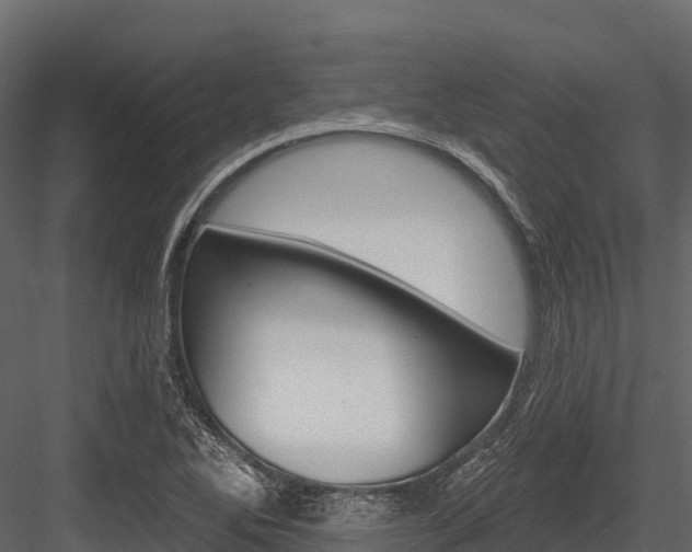 X0000084561270200702230952