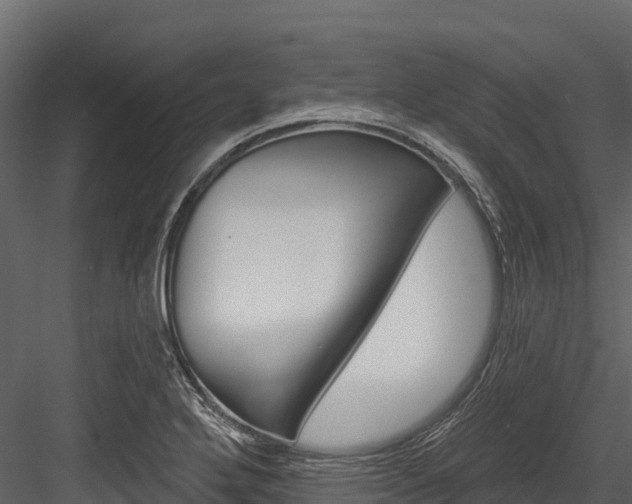 X0000084561272200702230952