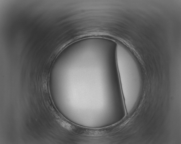 X0000084561273200702230952