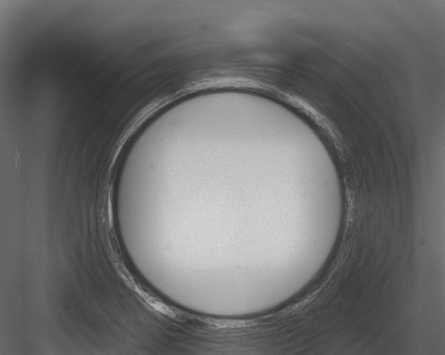 X0000084561274200702230952