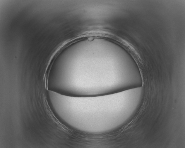 X0000084561275200702230952