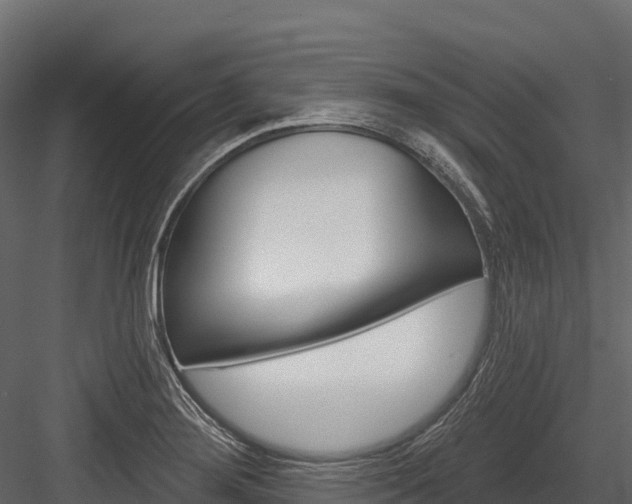 X0000084561276200702230952