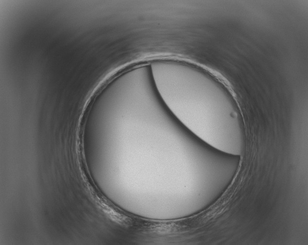 X0000084561279200702230952