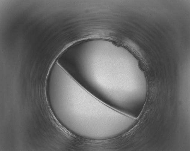 X0000084561284200702230952
