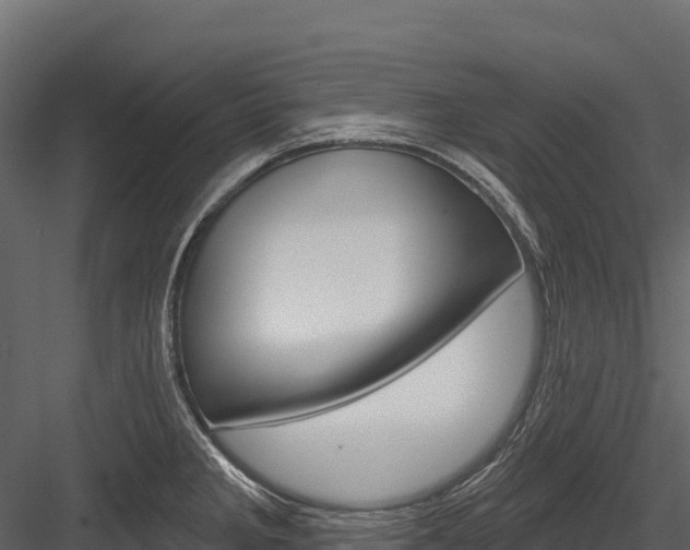 X0000084561285200702230952