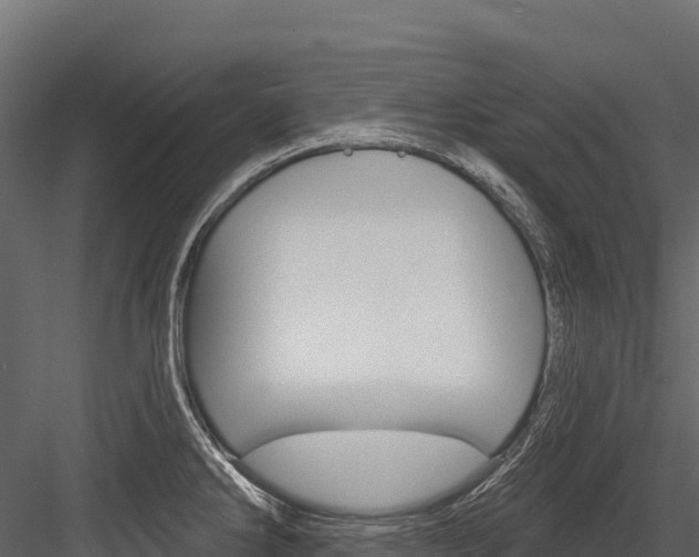 X0000084561286200702230952