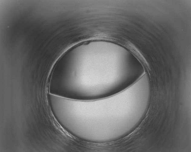X0000084561292200702230951