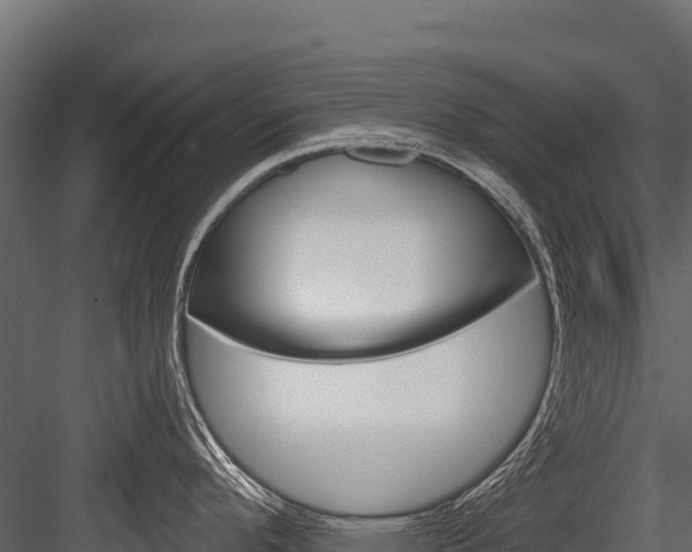 X0000084561296200702230951