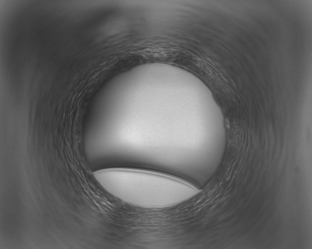 X0000084561297200702230951