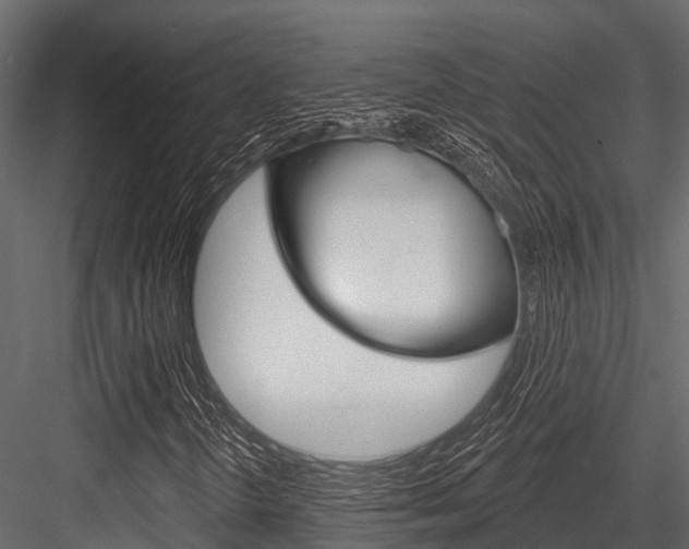 X0000084561298200702230951