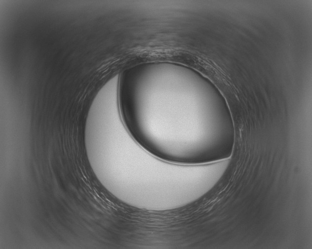 X0000084561300200702230951