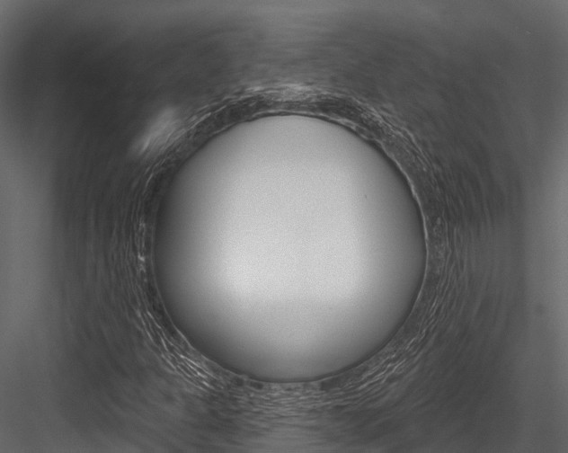 X0000084561301200702230951