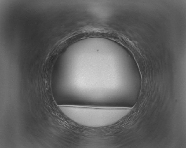 X0000084561303200702230951