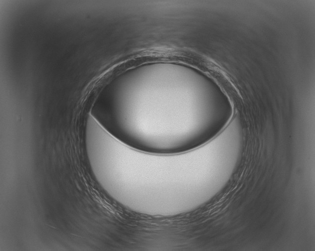 X0000084561304200702230951