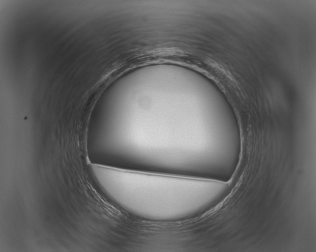X0000084561305200702230951