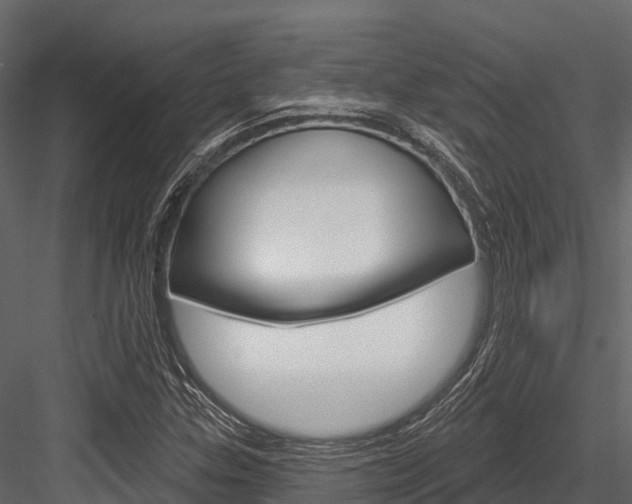 X0000084561307200702230951