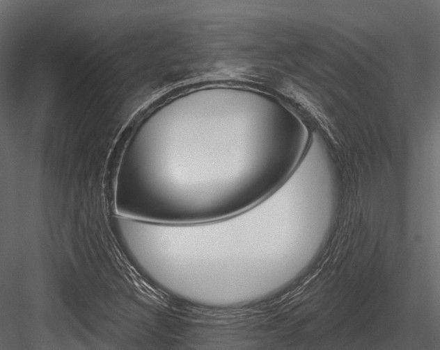 X0000084561308200702230951