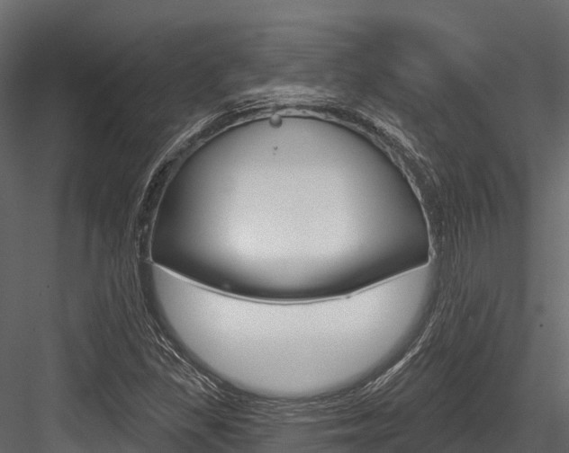X0000084561309200702230951
