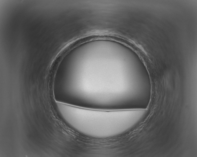 X0000084561311200702230951
